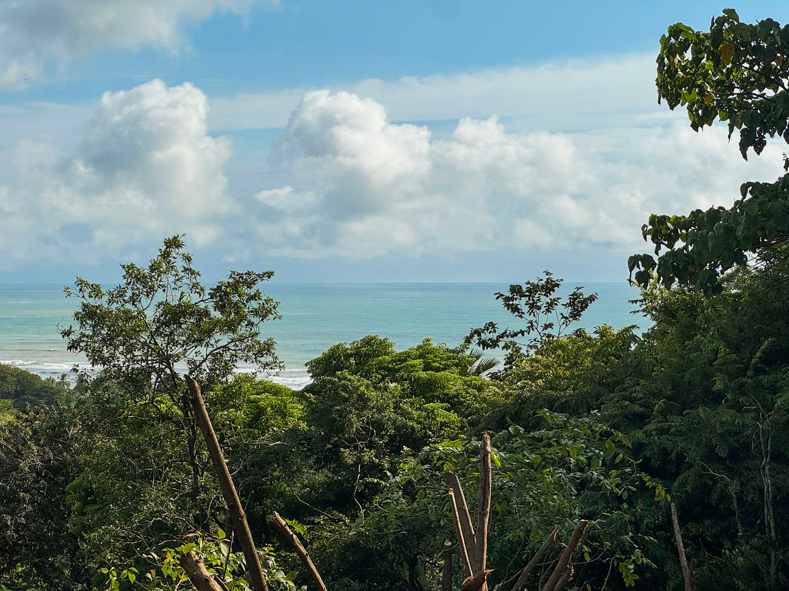 Ocean View Lot — photo 8 of 12