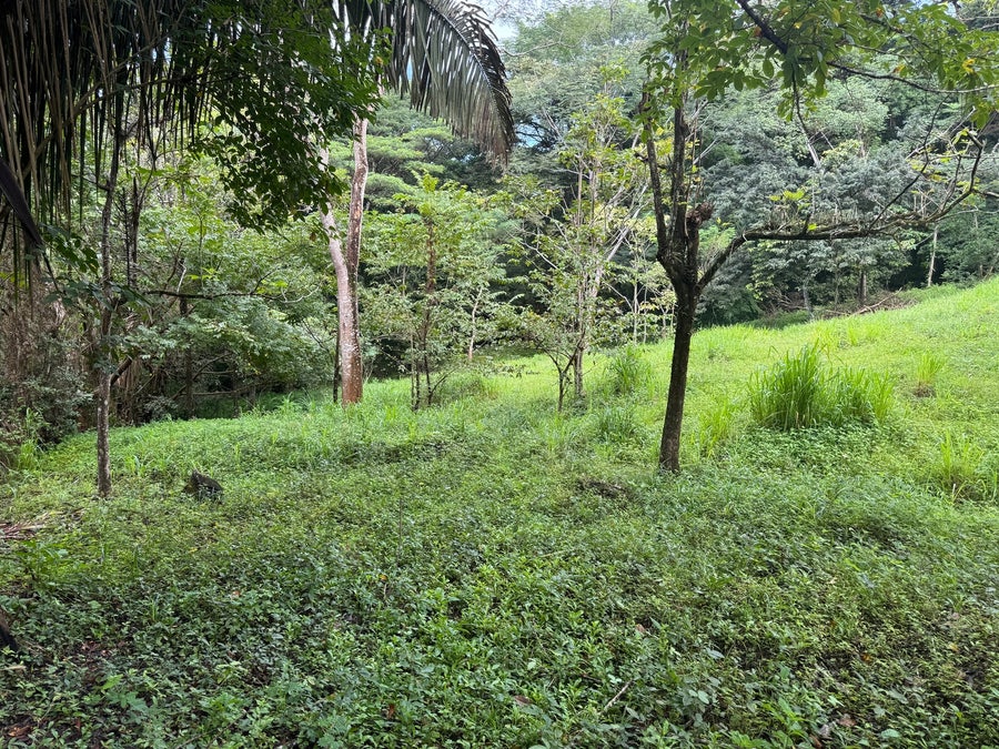 Property photo for Beautiful Land Santiago, Santiago, Santa Teresa, Cobano, Puntarenas, Puntarenas, Costa Rica