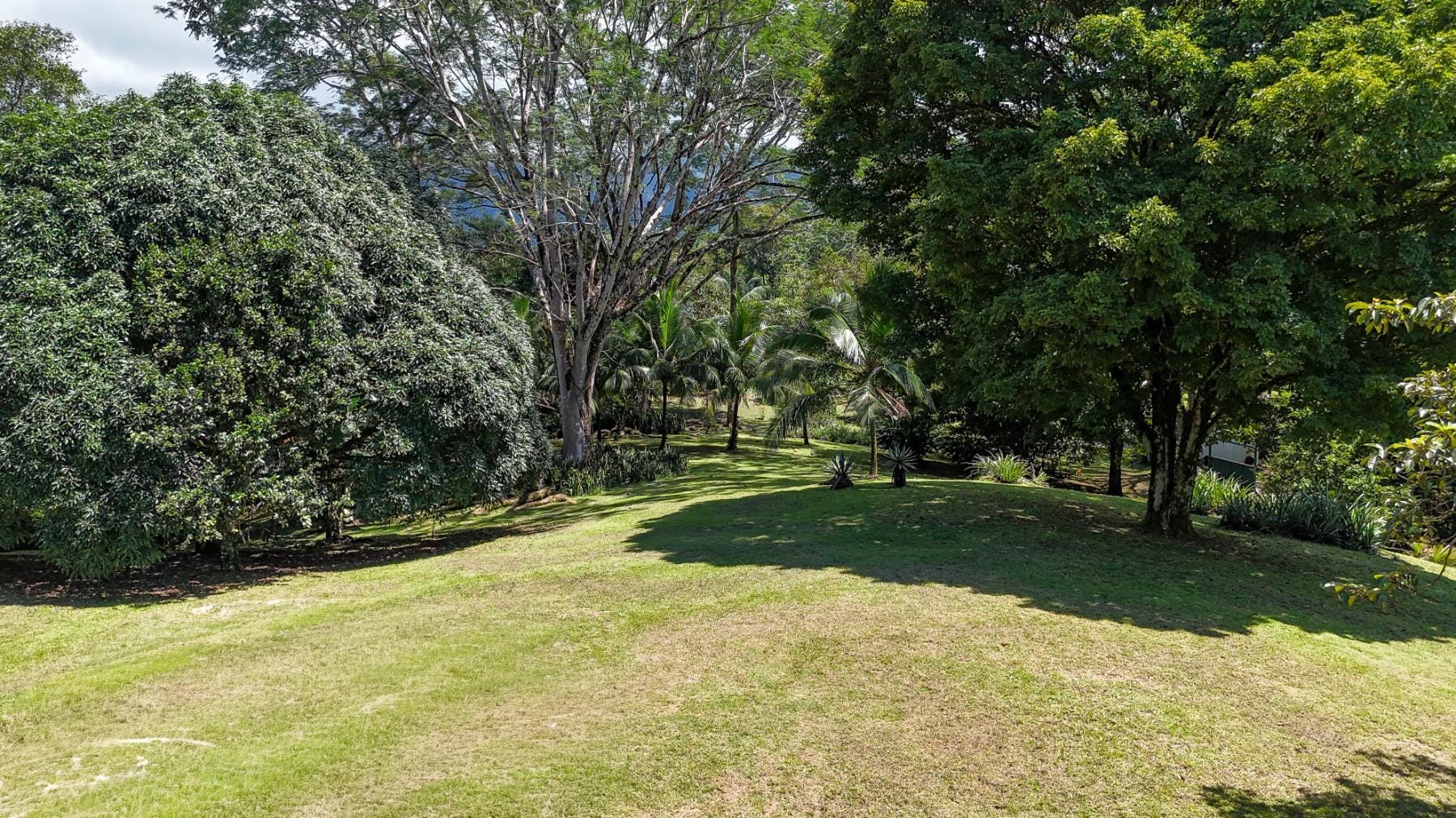 Prime Land Ideal For Development, Ojochal, Bahia Ballena, Osa, Puntarenas, Costa Rica 60501