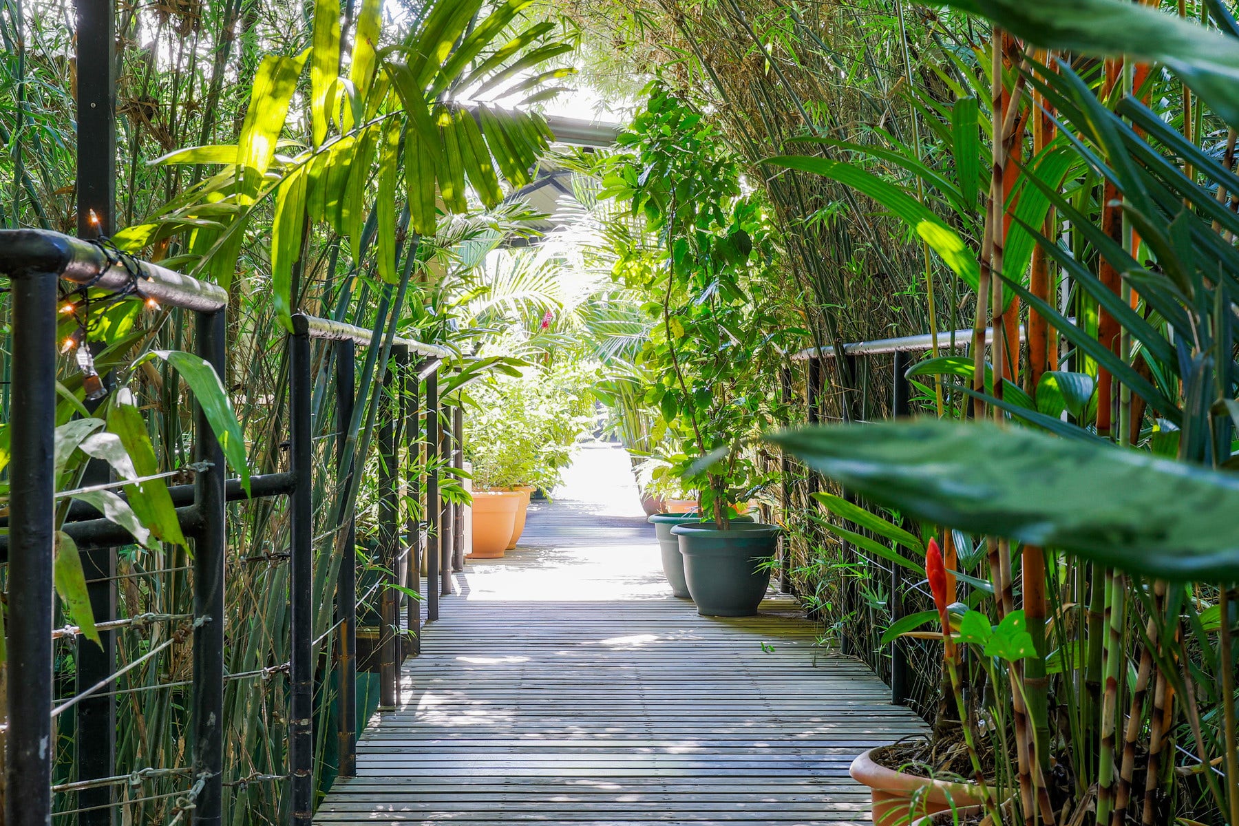 Dominical Retreat and Boutique Hotel — photo 7 of 19