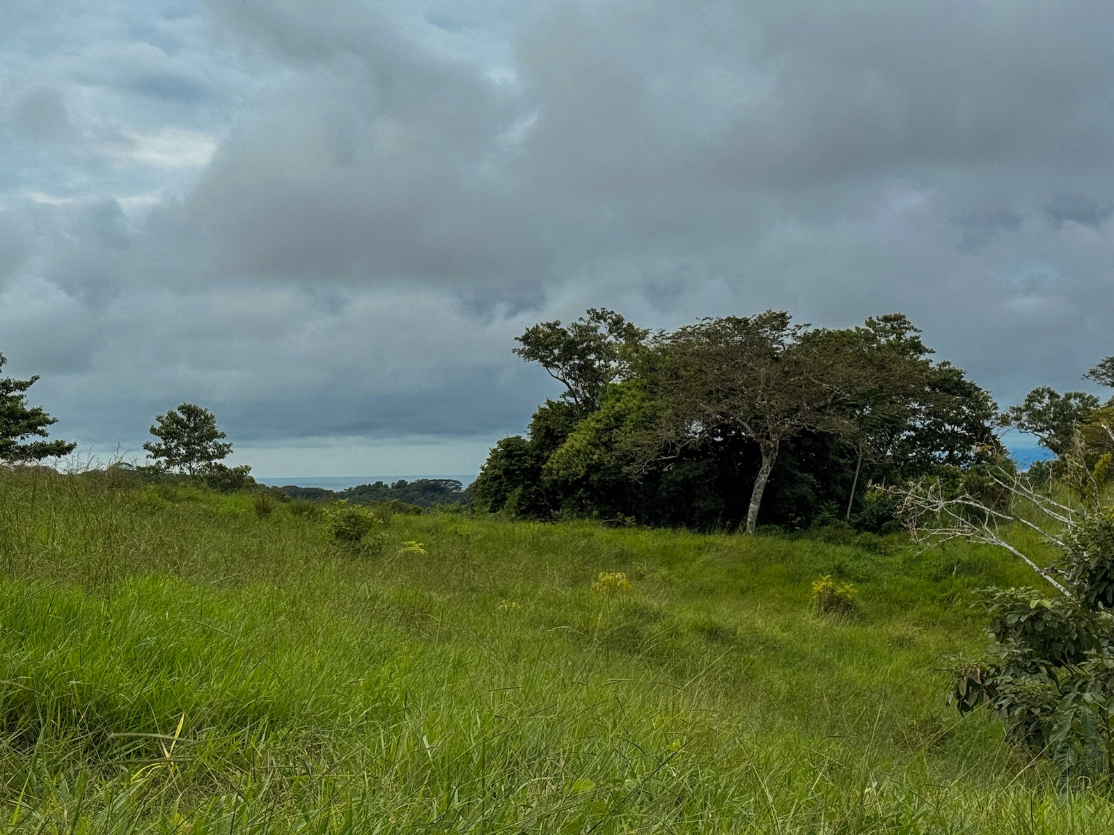 Ocean View Lots at the Ark — photo 9 of 16