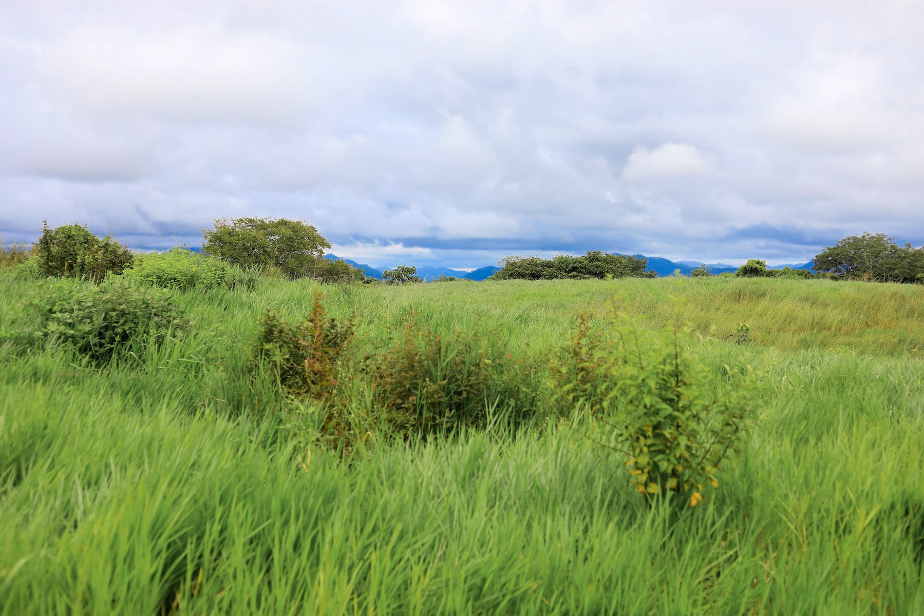 Ocean View Lots at the Ark — photo 4 of 16