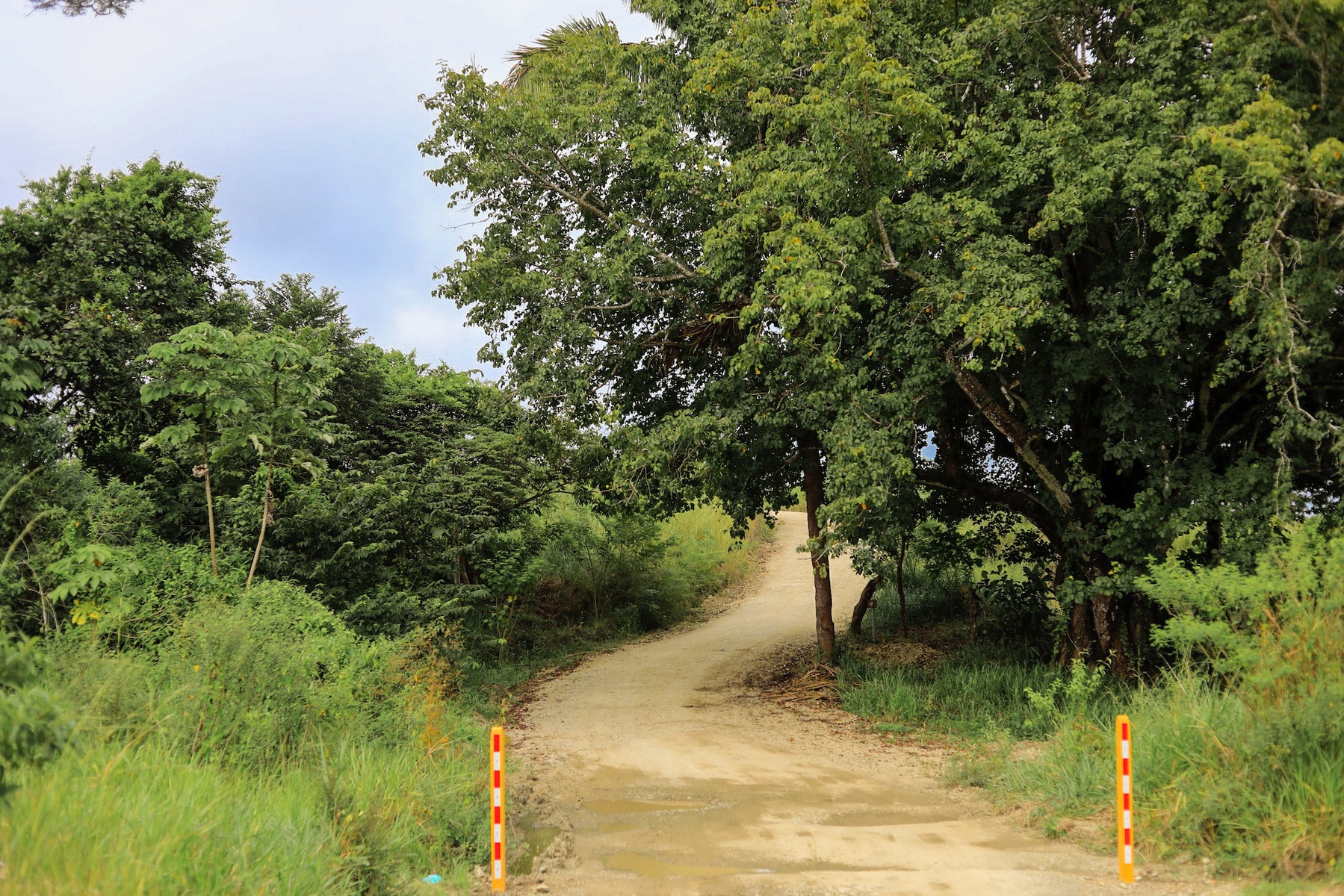 Mountain View Lots at The Ark — photo 16 of 19