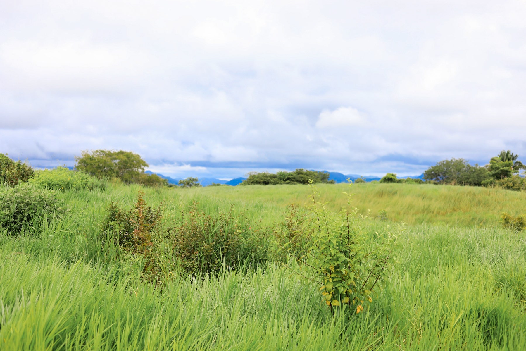 Mountain View Lots at The Ark — photo 9 of 19
