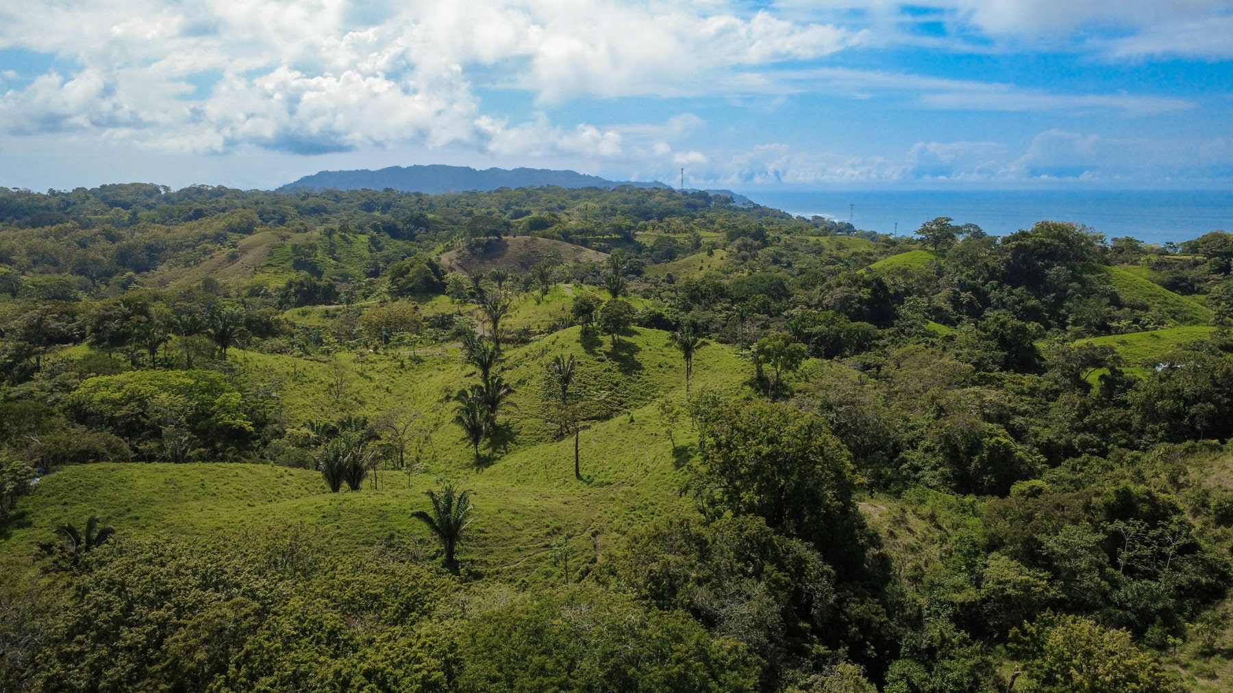 Jungle View Lots at The Ark — photo 2 of 19
