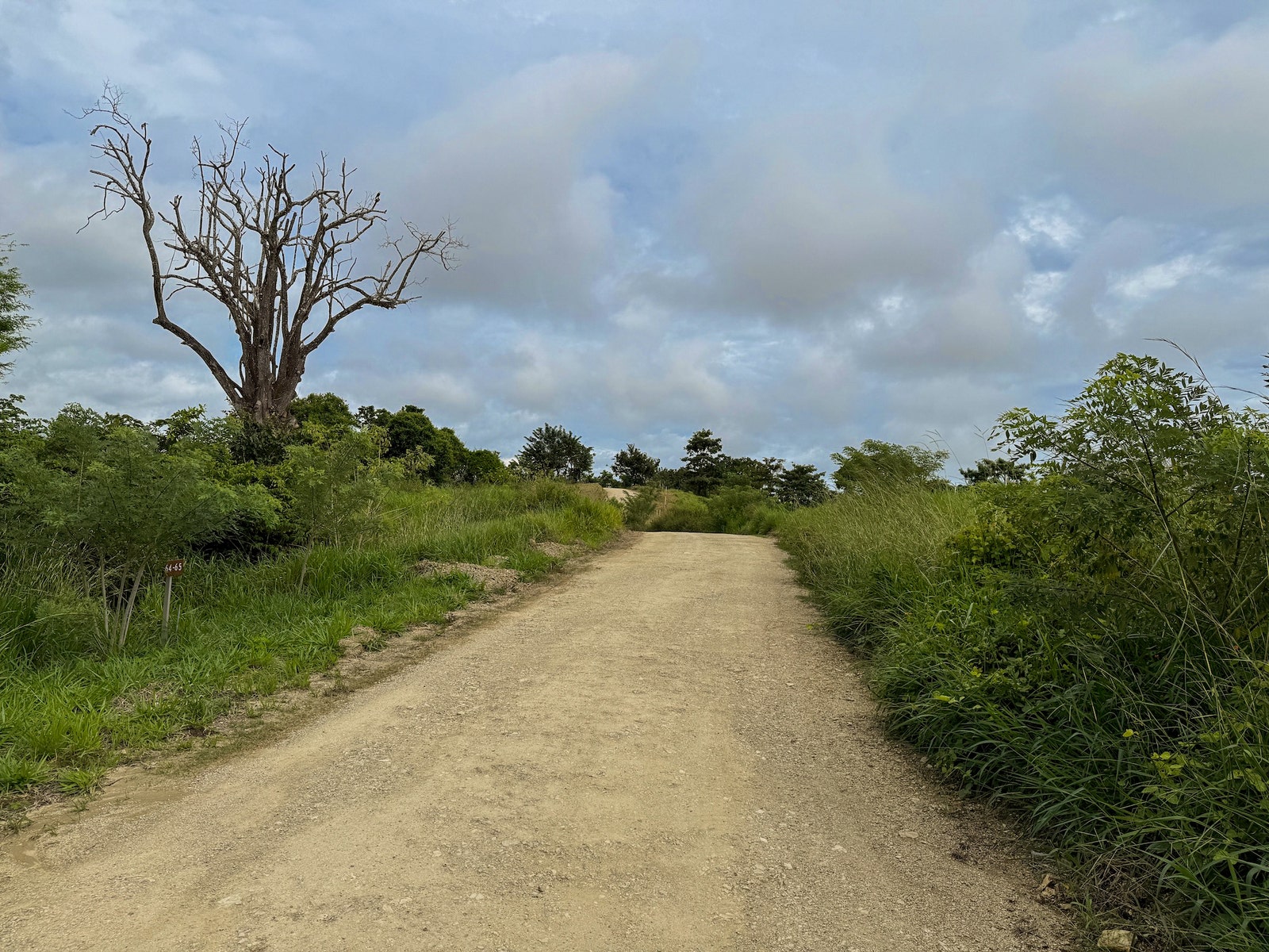 Jungle View Lots at The Ark — photo 5 of 19