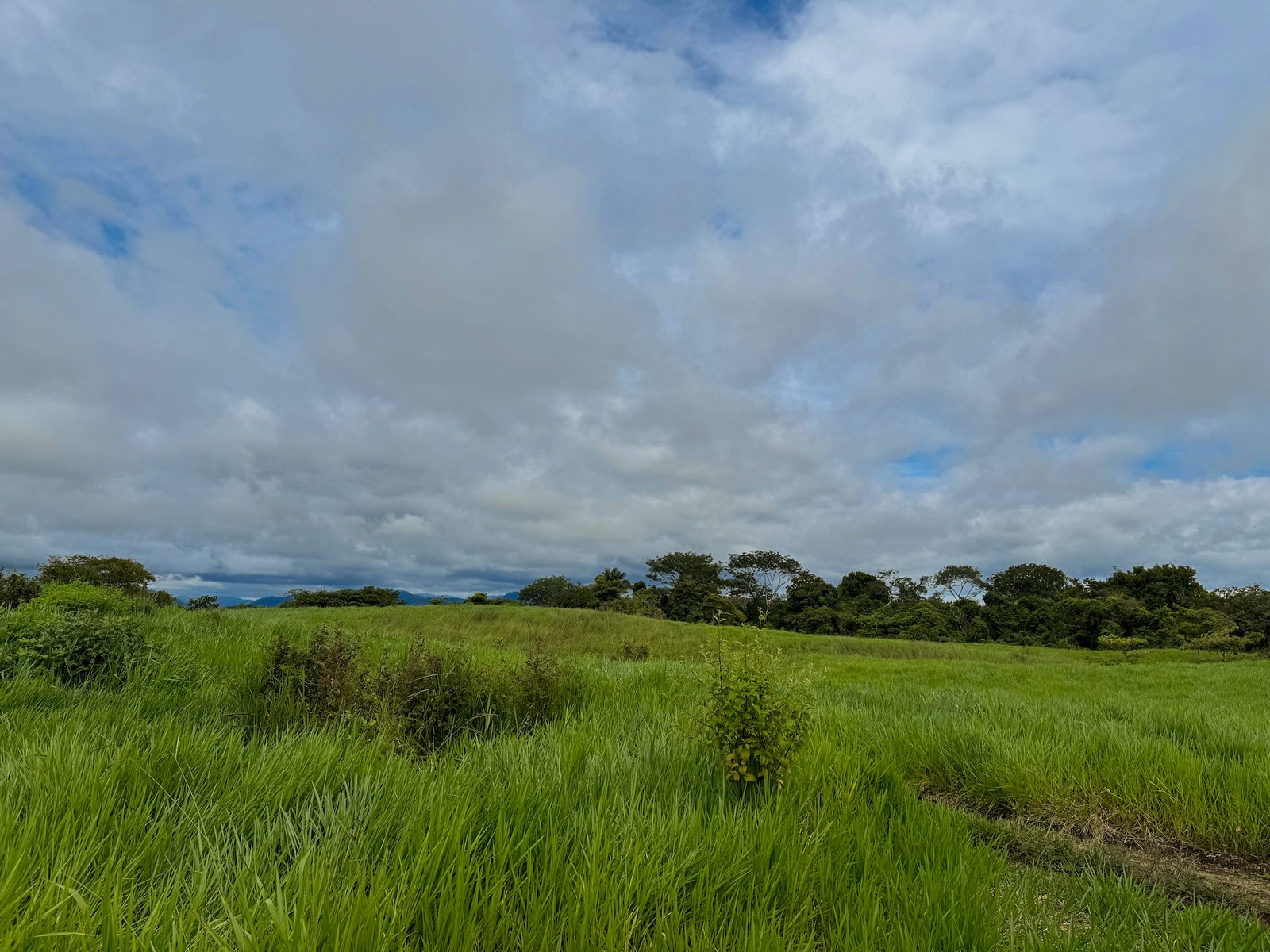 Jungle View Lots at The Ark — photo 3 of 19