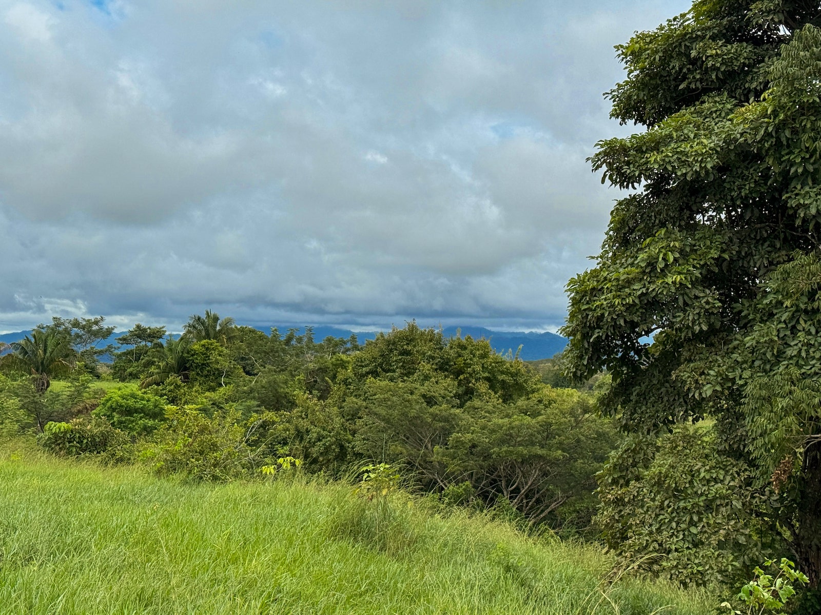 Jungle View Lots at The Ark — photo 11 of 19