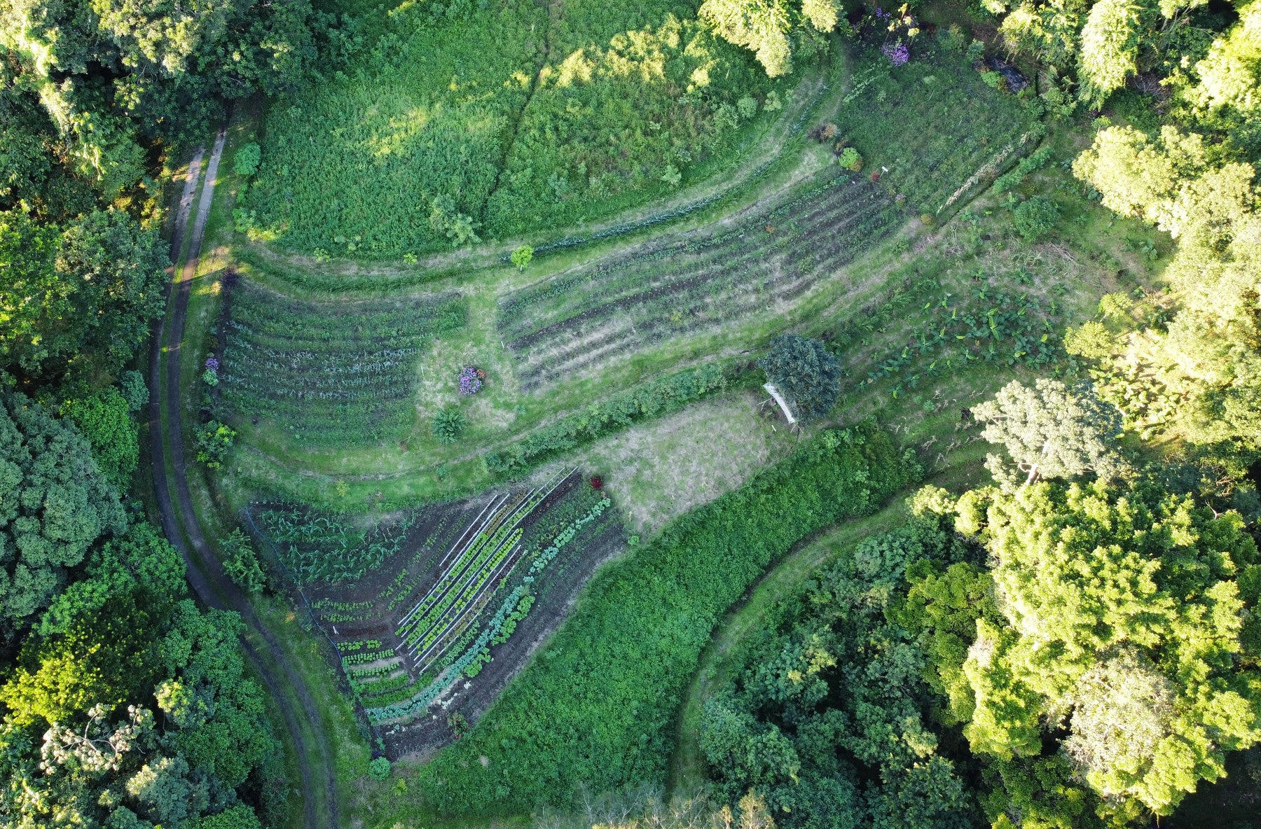 Lakefront Sustainable Farm — foto 6 de 10