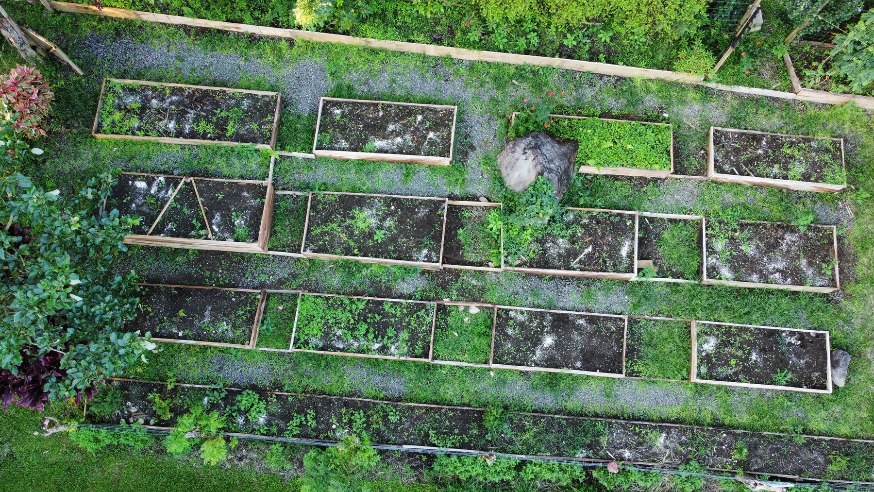 Lakefront Sustainable Farm — foto 7 de 10