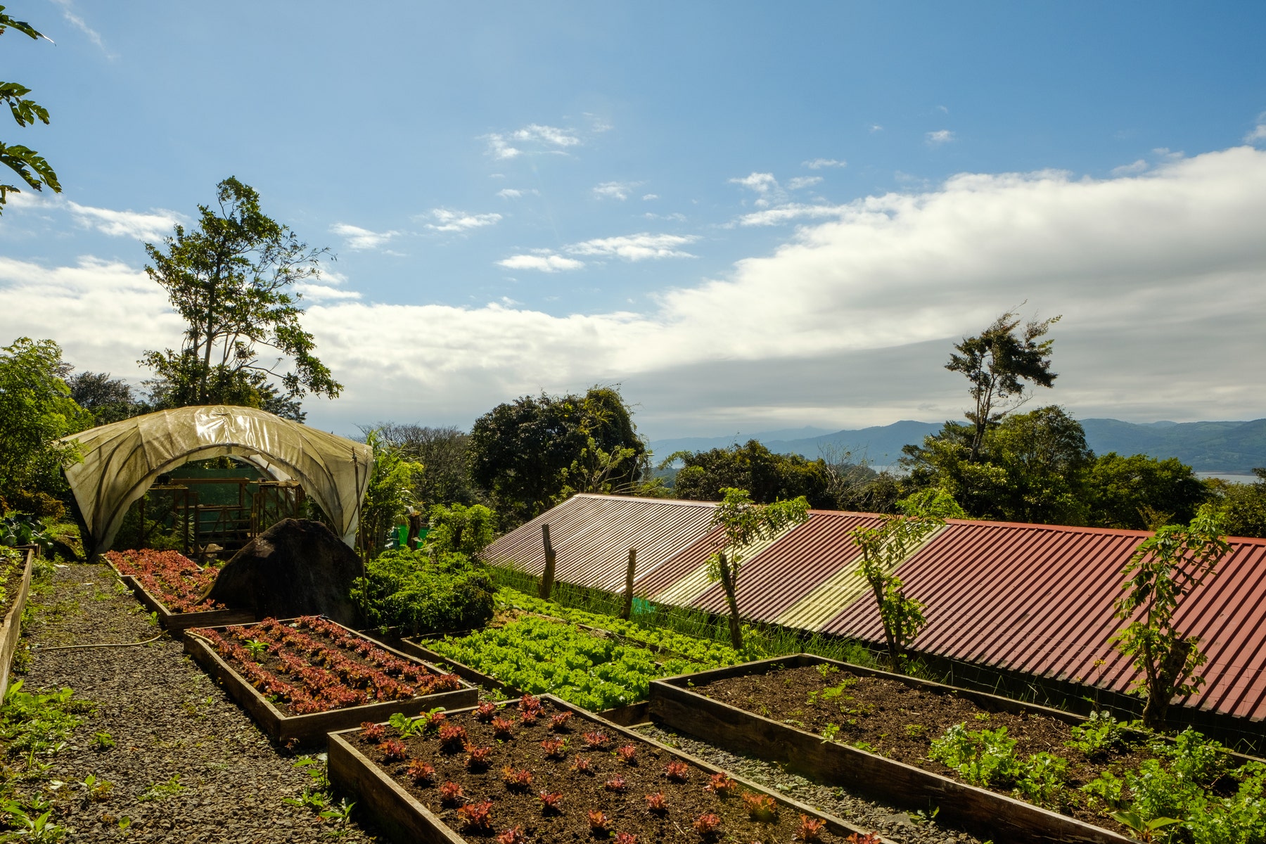 Lakefront Sustainable Farm — foto 8 de 10