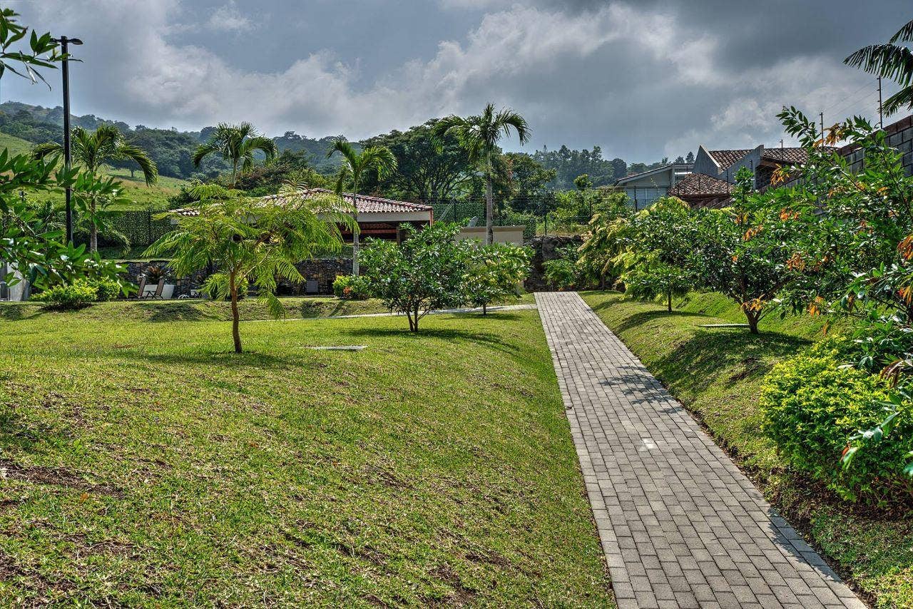 Modern Garden-Level Living — photo 7 of 19