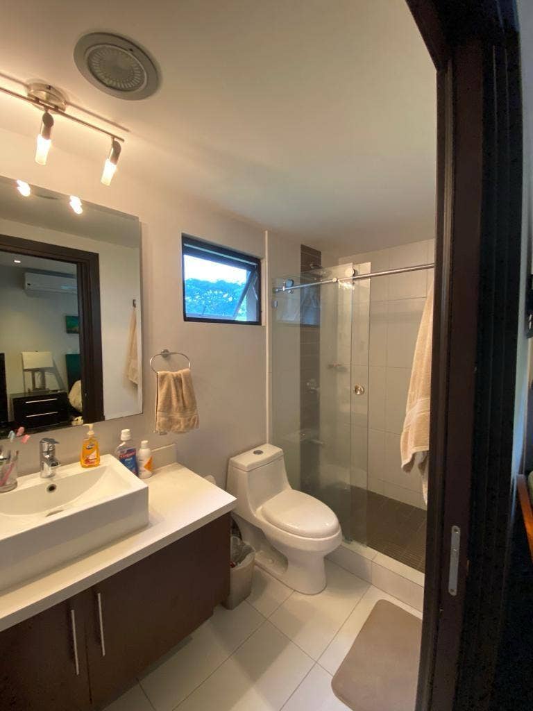Modern Garden-Level Living — photo 11 of 19