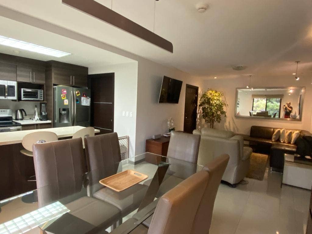 Modern Garden-Level Living — photo 12 of 19