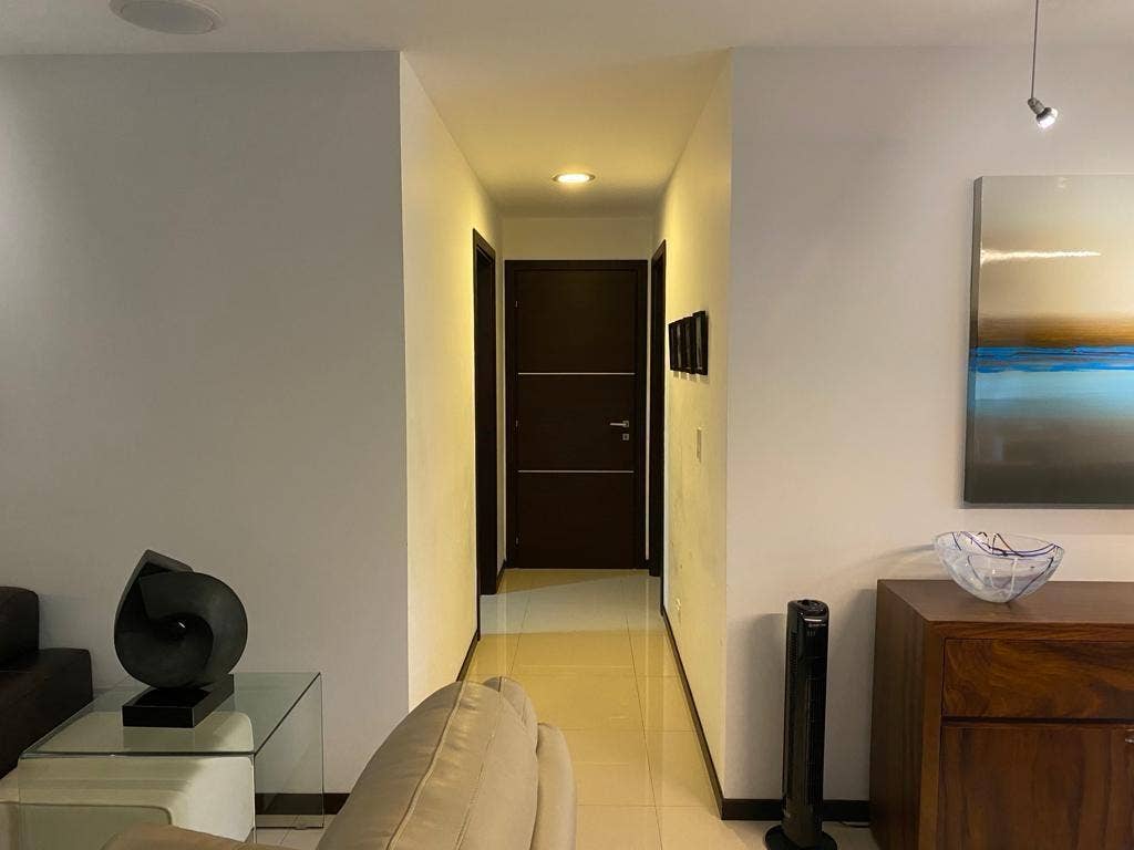 Modern Garden-Level Living — photo 14 of 19