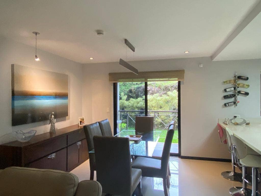 Modern Garden-Level Living — photo 15 of 19