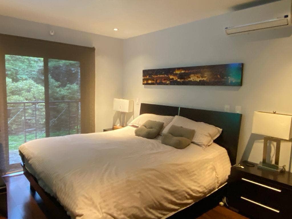 Modern Garden-Level Living — photo 16 of 19