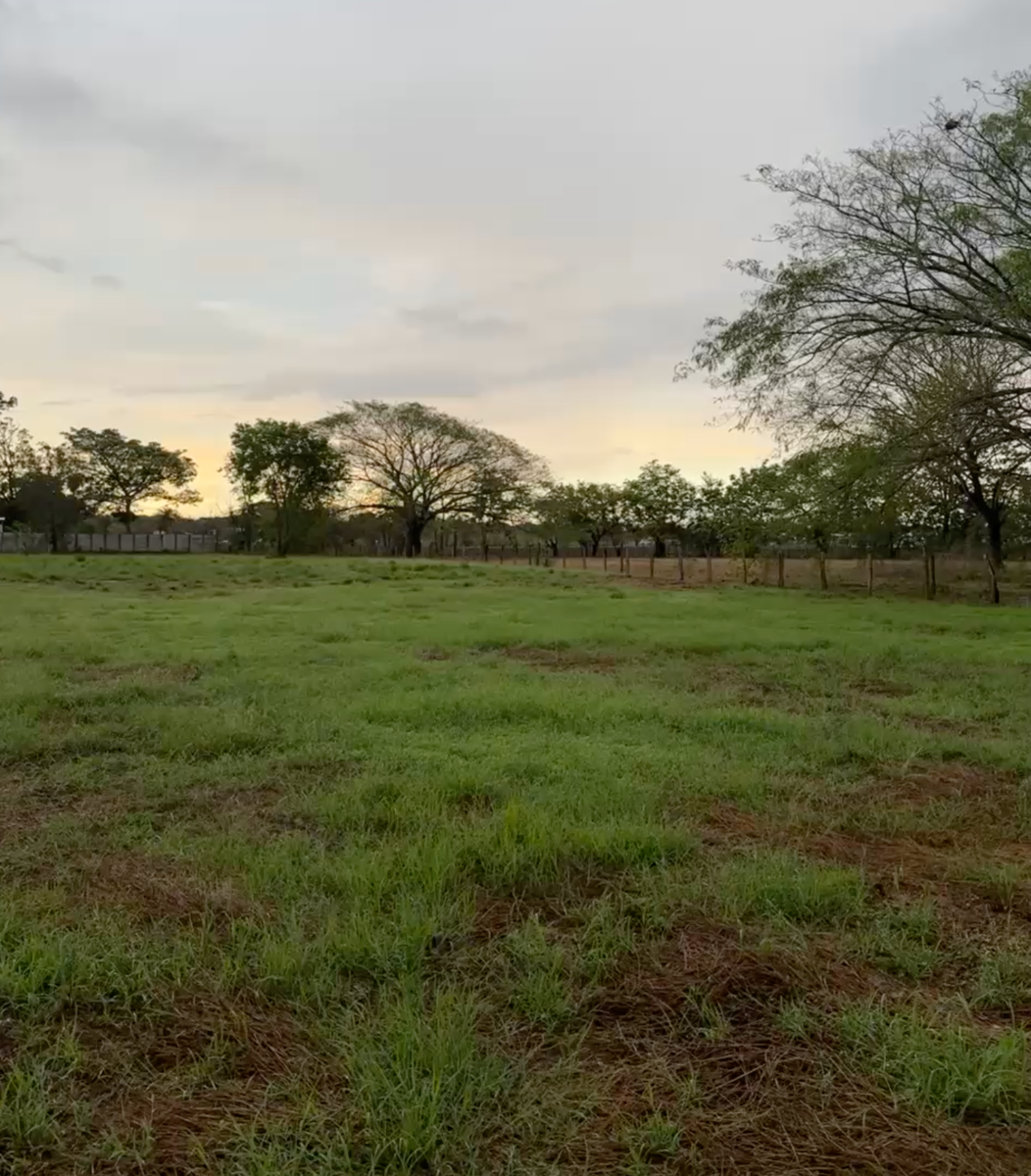 One Hectare of Mixed Use Land for Development, Guardia, Papagayo, Nacascolo, Liberia, Guanacaste, Costa Rica 50104 — photo 3 of 3