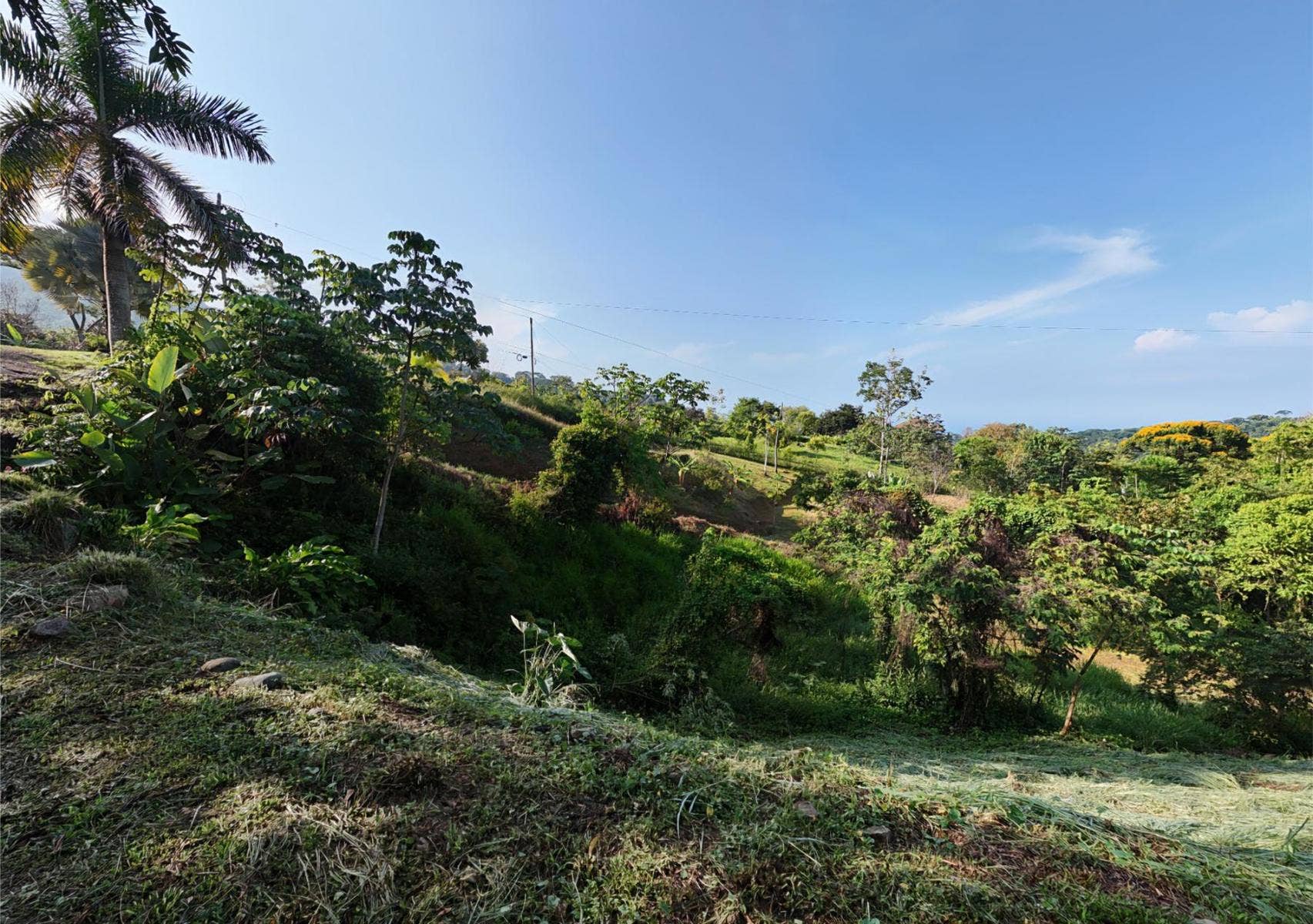 Residential Lot in Coveted Location — photo 3 of 19