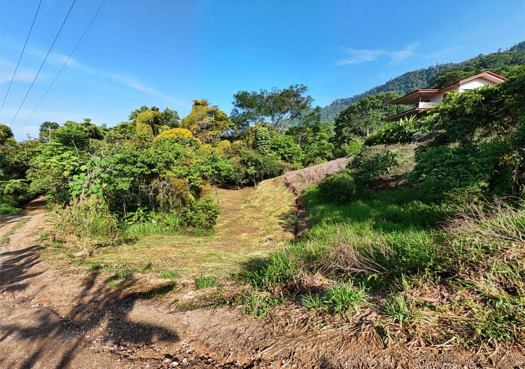 Residential Lot in Coveted Location — photo 5 of 19