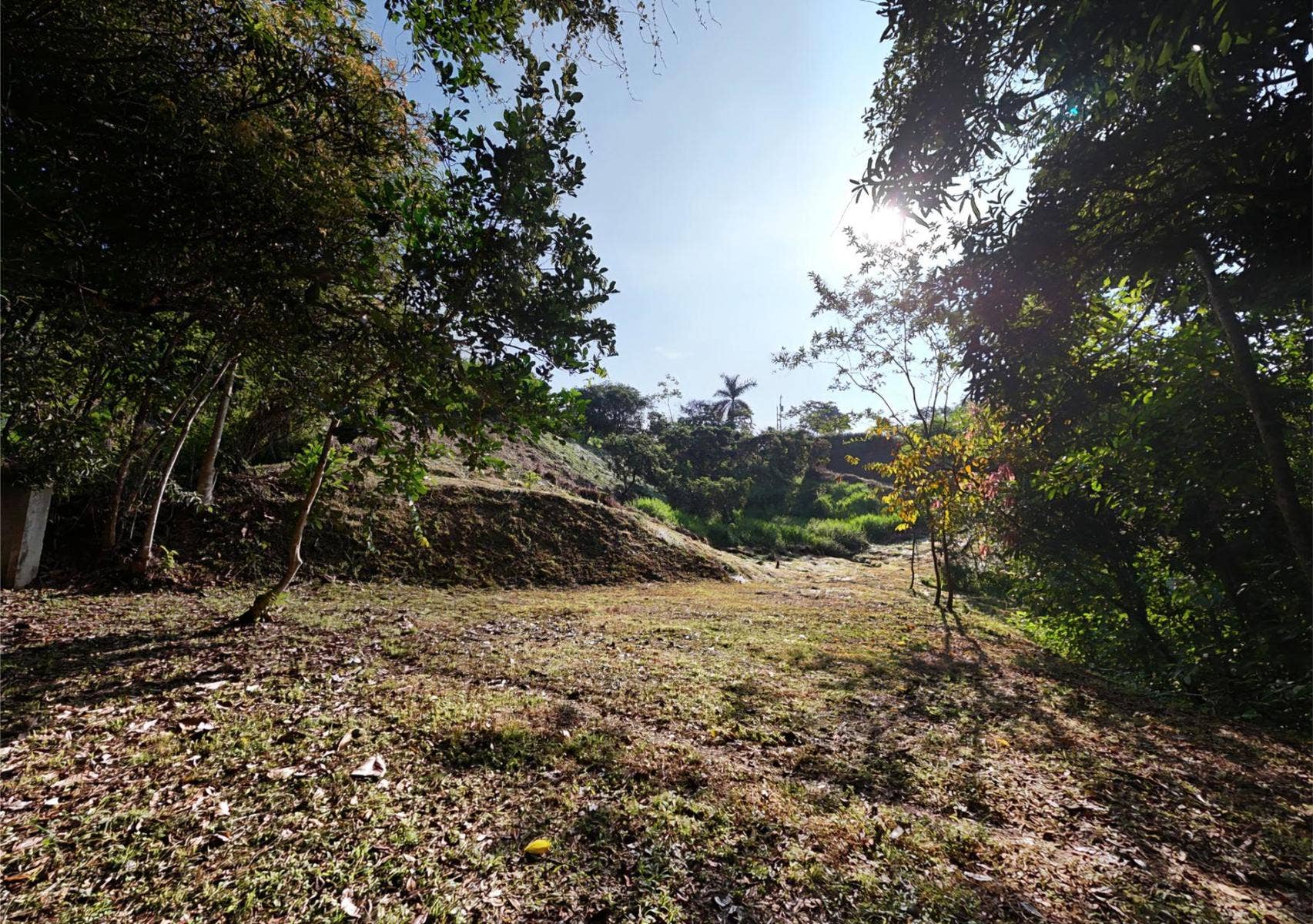 Residential Lot in Coveted Location — photo 6 of 19