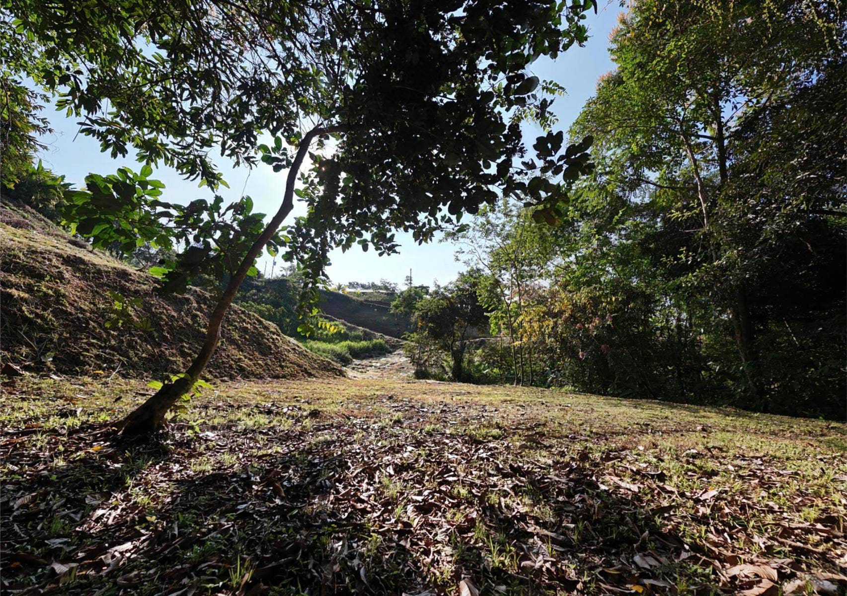 Residential Lot in Coveted Location — photo 7 of 19