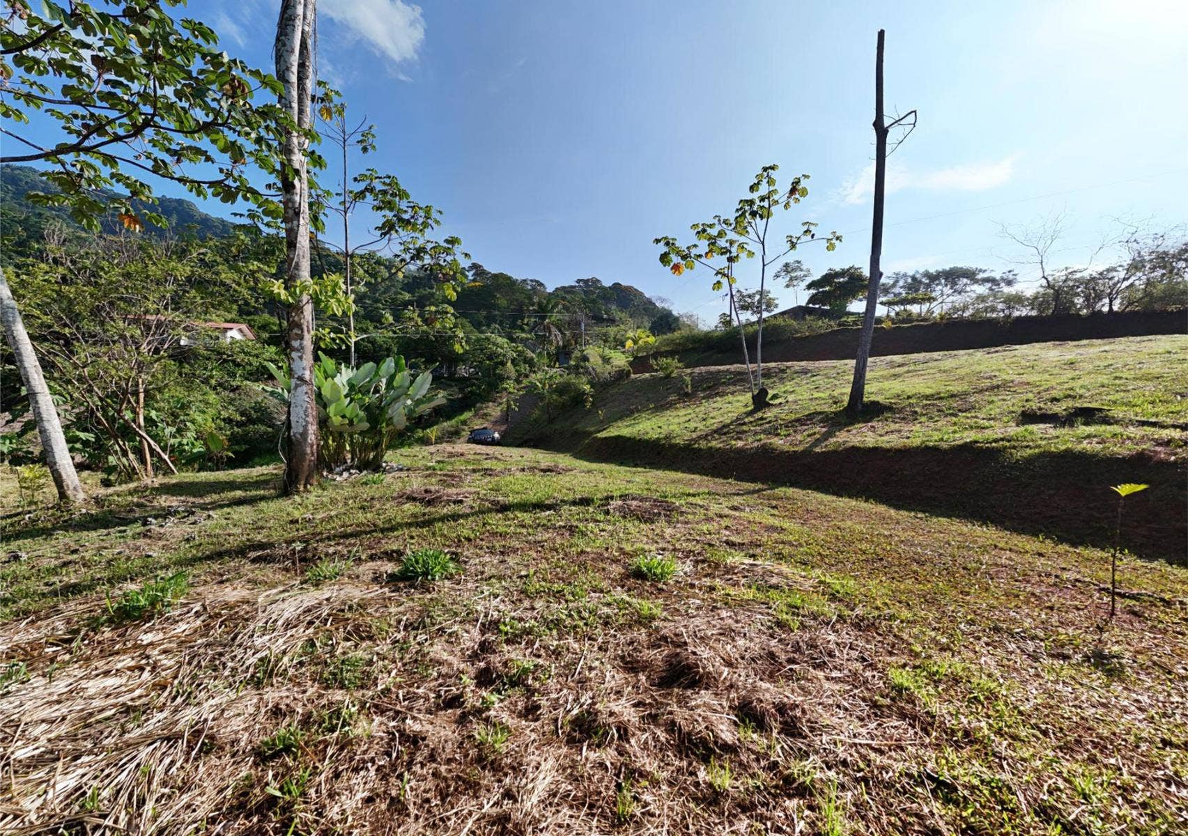 Residential Lot in Coveted Location — photo 8 of 19