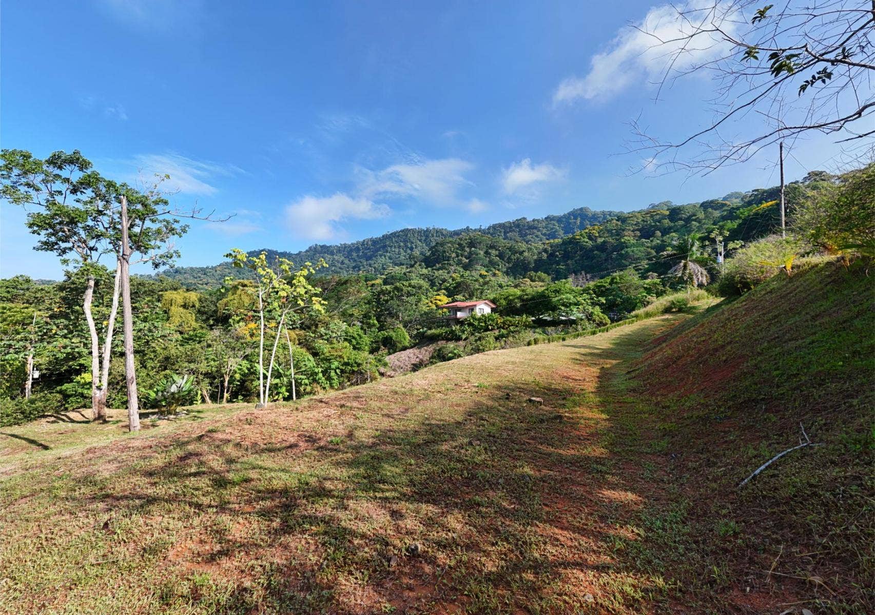 Residential Lot in Coveted Location — photo 9 of 19