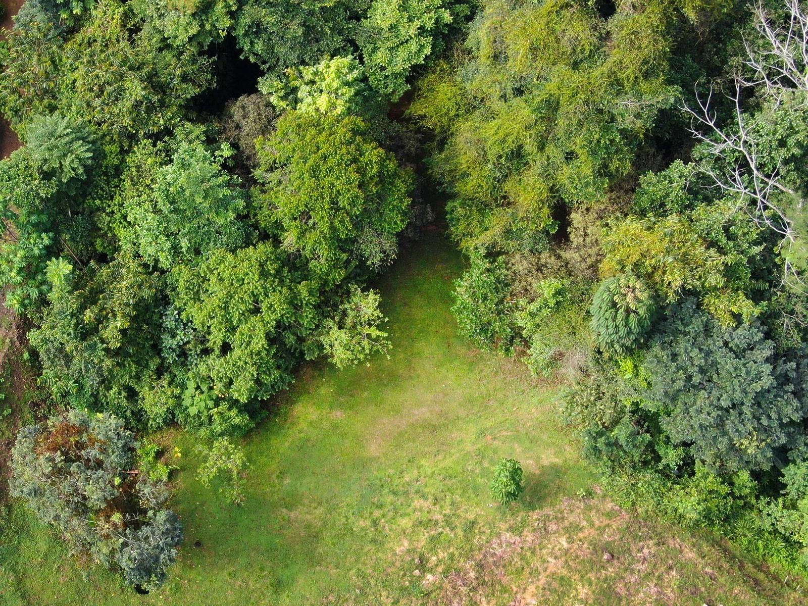 Residential Lot in Coveted Location — photo 13 of 19