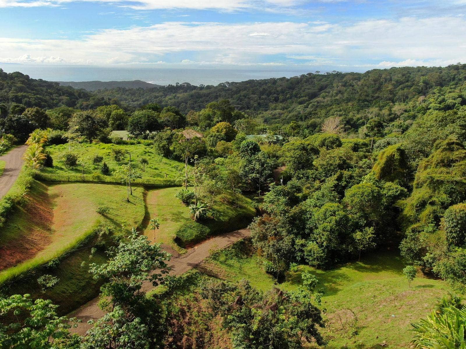 Residential Lot in Coveted Location — photo 14 of 19