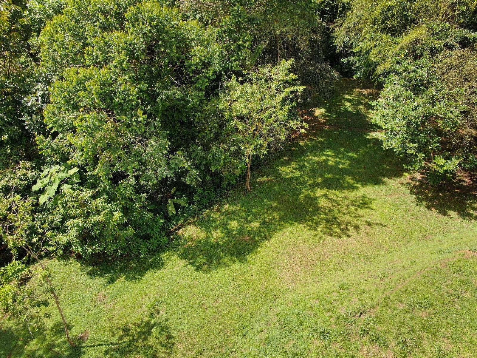 Residential Lot in Coveted Location — photo 19 of 19