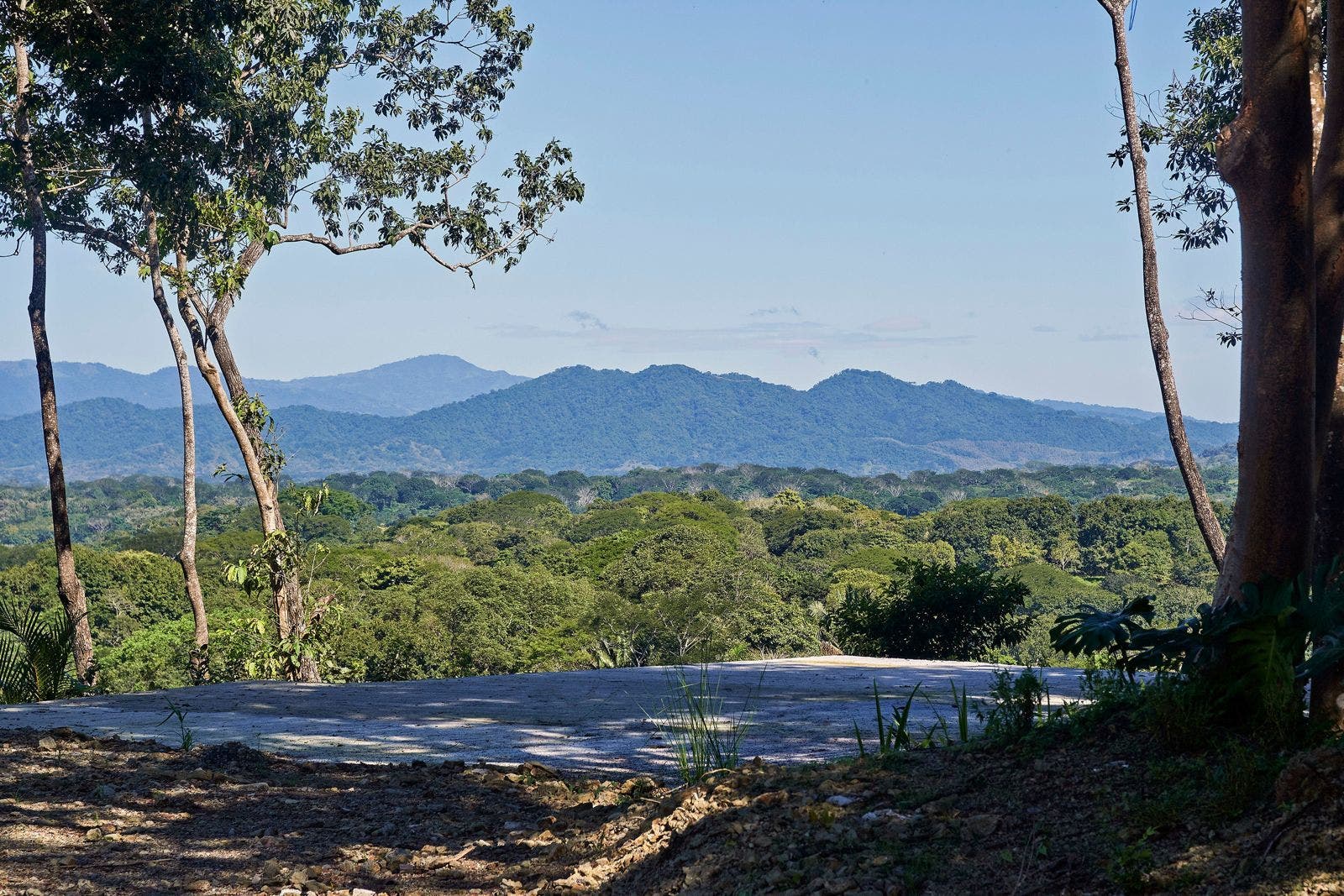 Prime Residential or Commercial Estate Parcel — photo 7 of 13