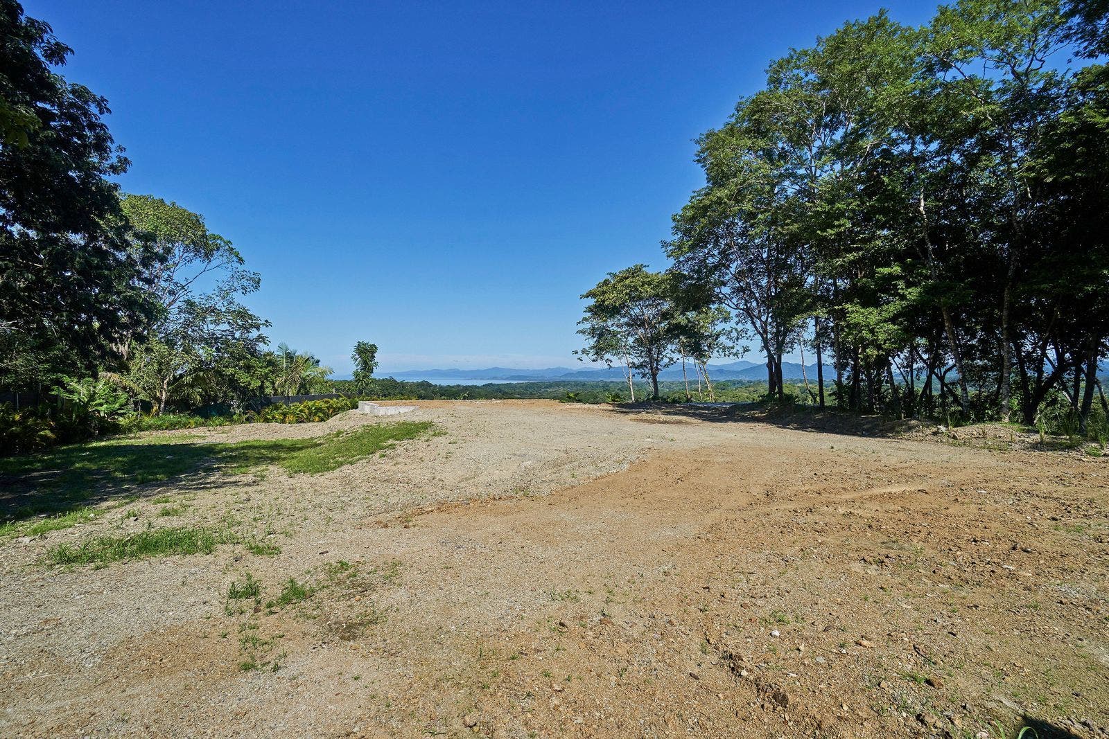 Prime Residential or Commercial Estate Parcel — photo 4 of 13
