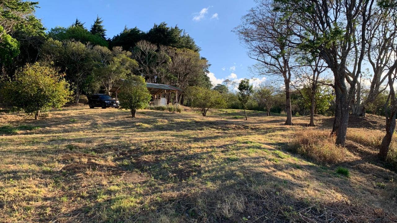 7 hectare Mountain Estate — photo 5 of 5