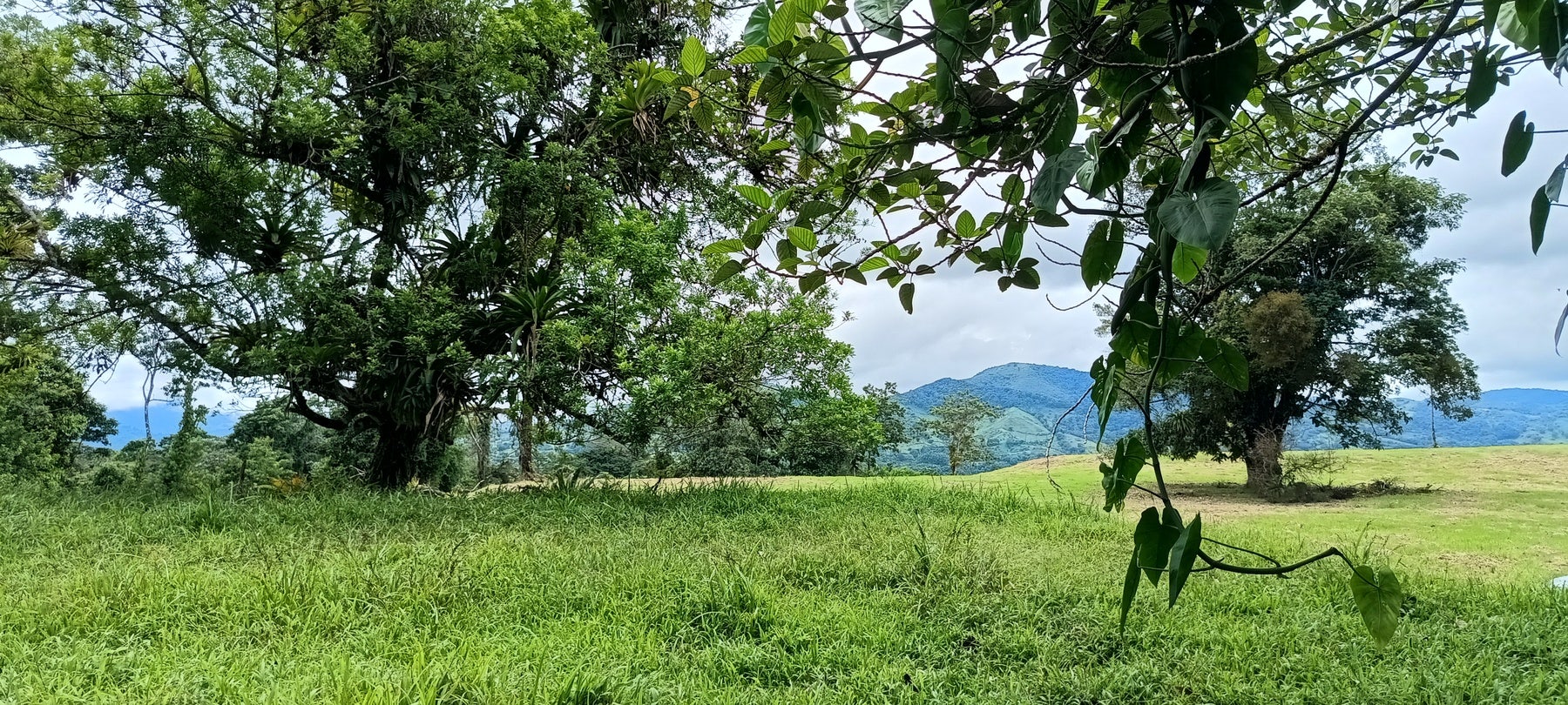 Prime Lakeview Fourteen-Acre Parcel, Nuevo Arenal, Lake Arenal, Arenal, Tilaran, Alajuela, Costa Rica 50807 — photo 5 of 5