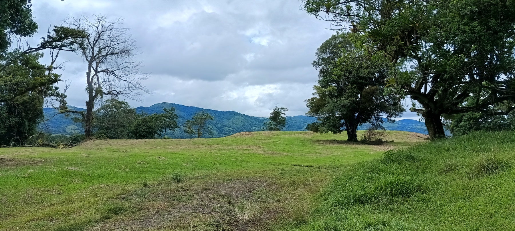 Prime Lakeview Fourteen-Acre Parcel — photo 6 of 10