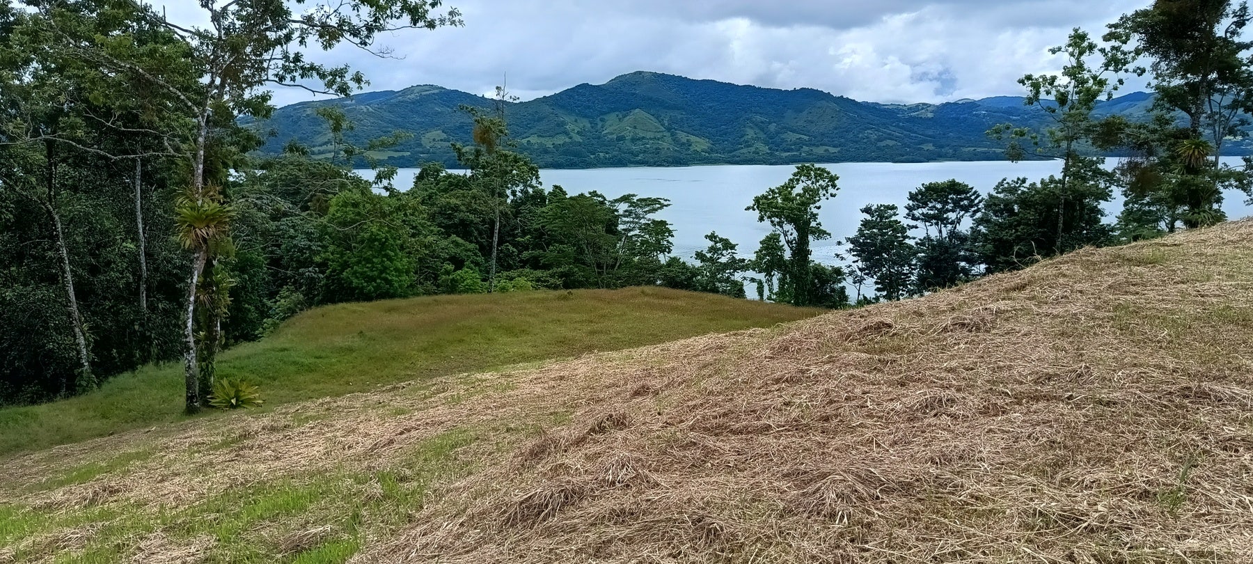 Prime Lakeview Fourteen-Acre Parcel — photo 7 of 10