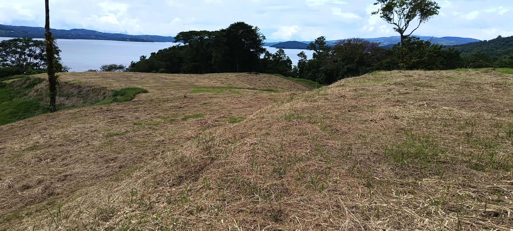 Prime Lakeview Fourteen-Acre Parcel — photo 8 of 10