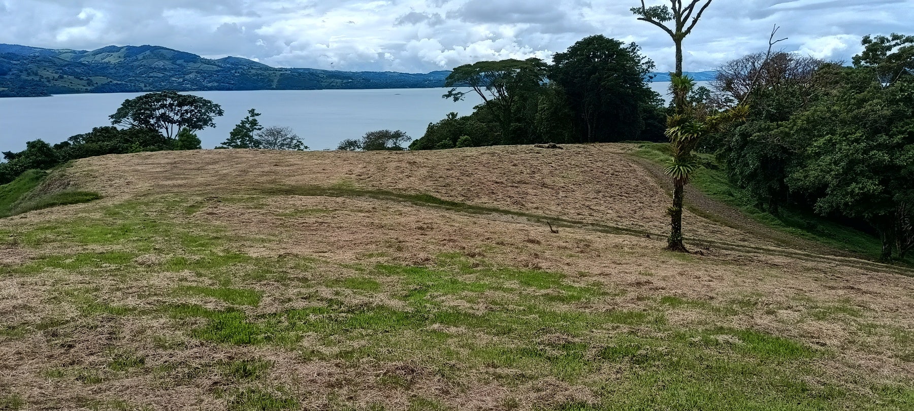 Prime Lakeview Fourteen-Acre Parcel — photo 9 of 10
