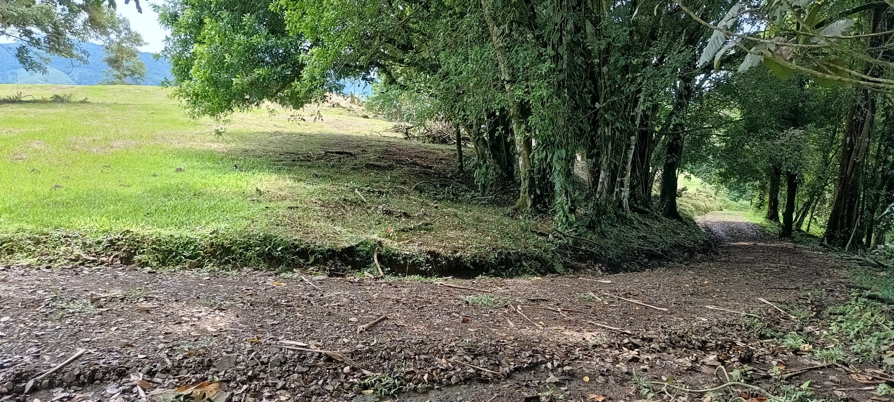 Prime Lakeview Fourteen-Acre Parcel — photo 10 of 10