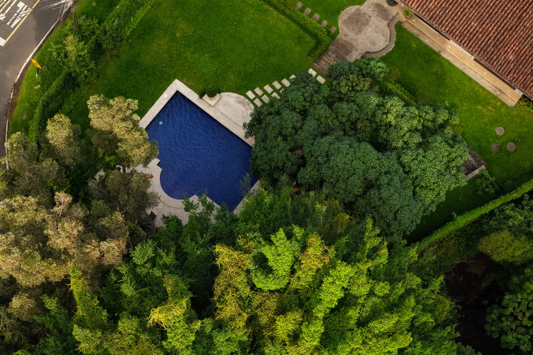 Family Villa Estate — photo 5 of 19