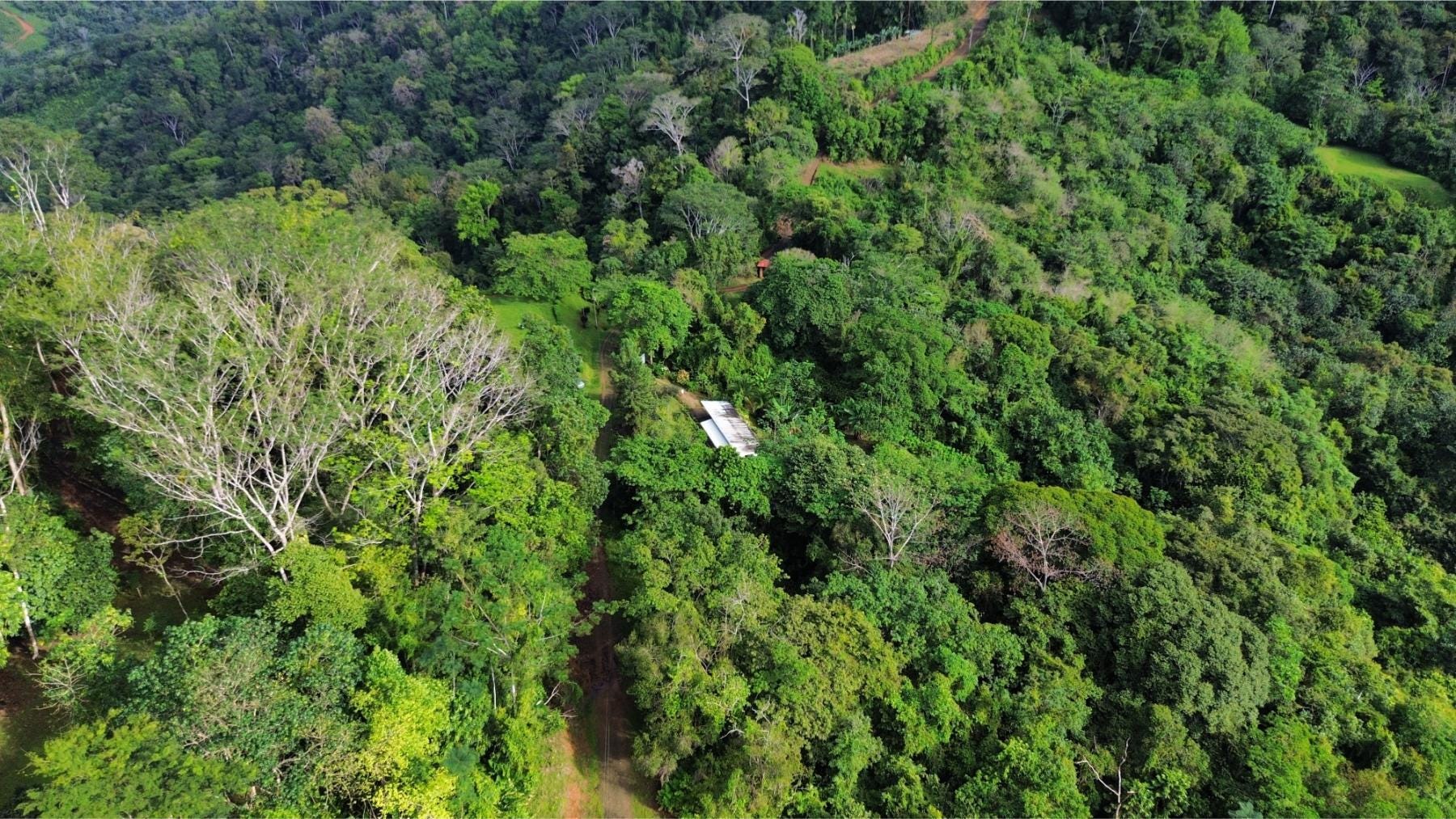 Three Bedroom Three Bathroom Mountain Home, Tres Rios, Ojochal, Bahia Ballena, Osa, Puntarenas, Costa Rica 60501, Tres Rios