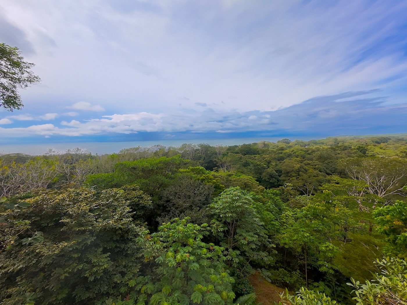 Luxury Development Land, Uvita, Dominical, Bahia Ballena, Osa, Puntarenas, Costa Rica 60504