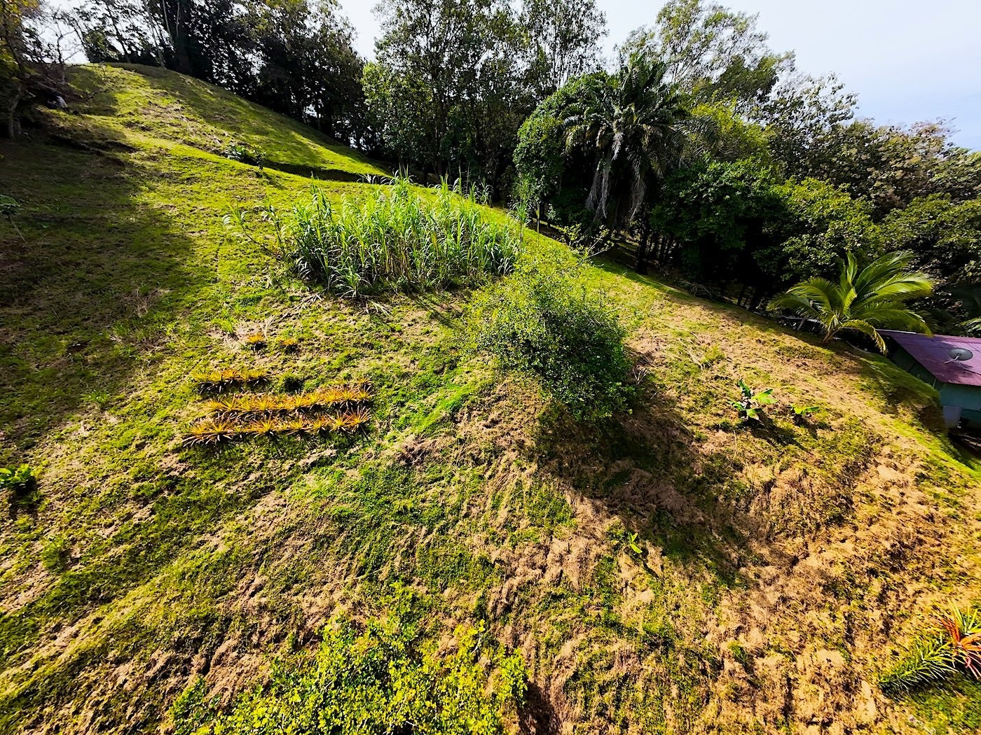 Luxury Development Land — photo 7 of 19