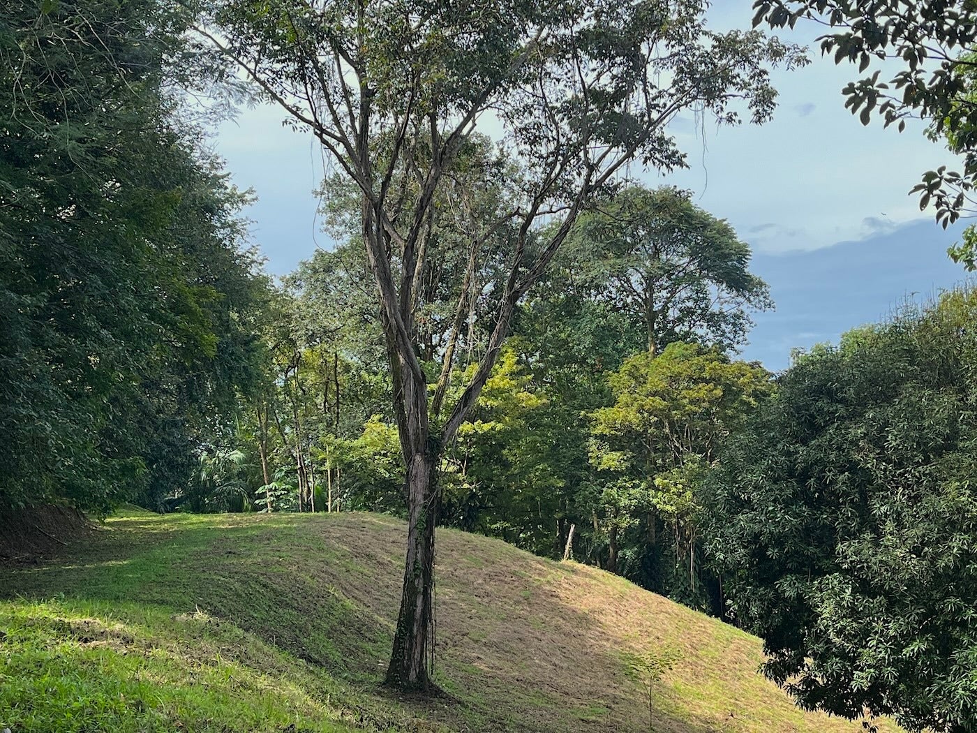 Luxury Development Land — photo 15 of 19