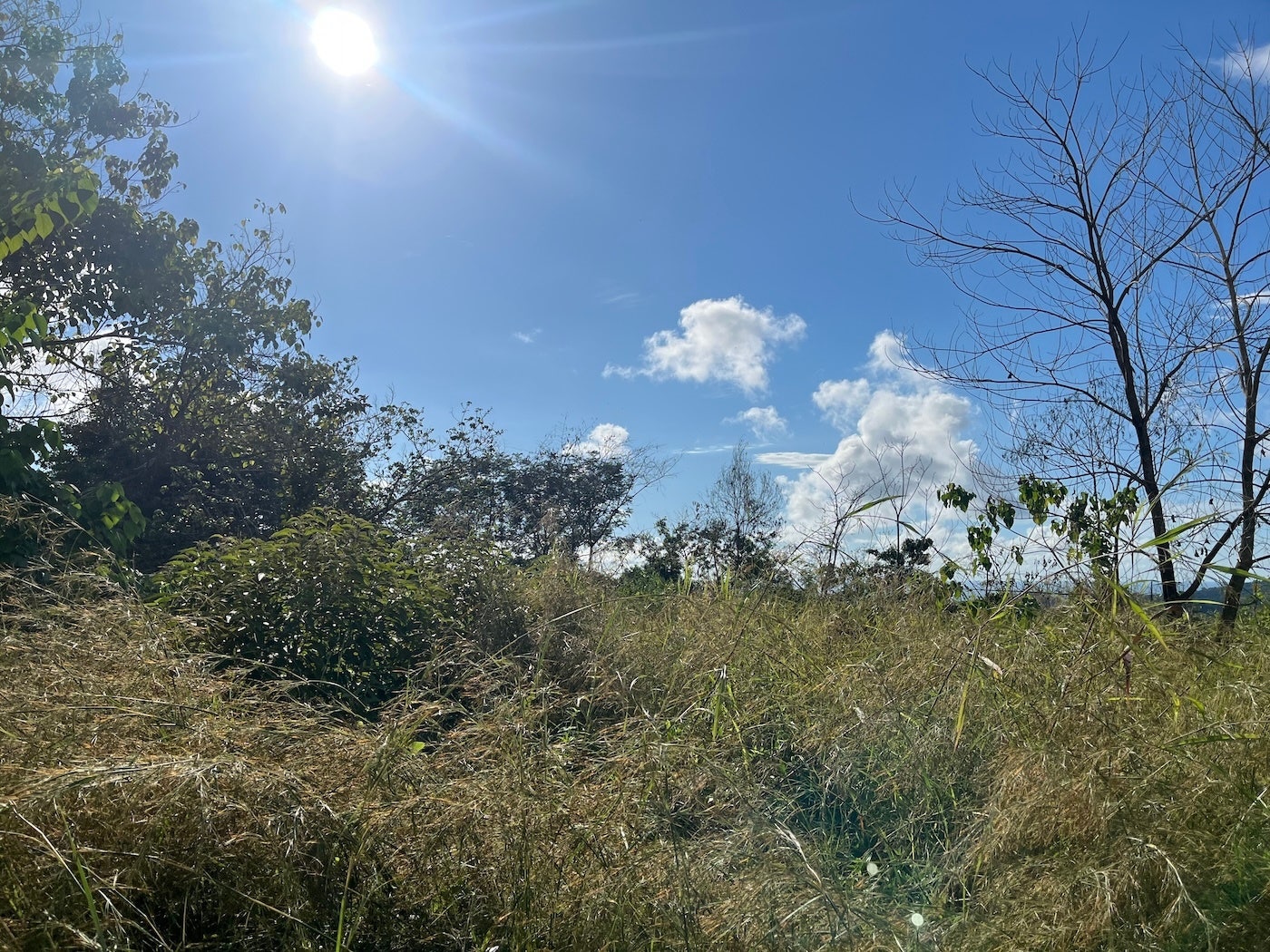 Flat Ocean View Lot — photo 3 of 12