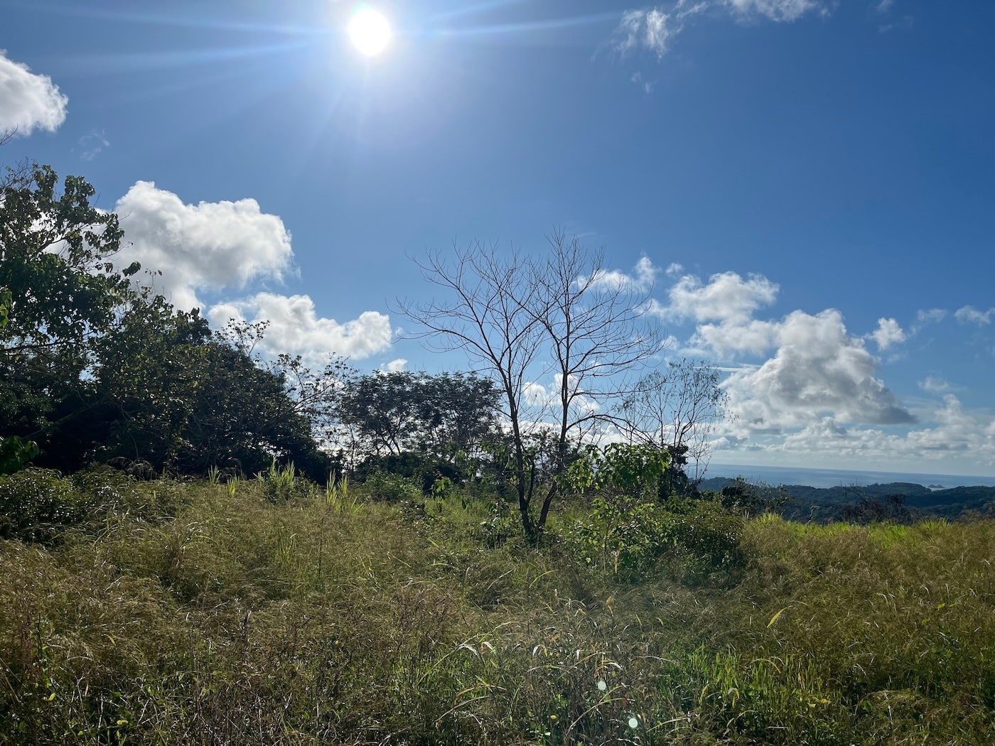 Flat Ocean View Lot — photo 6 of 12