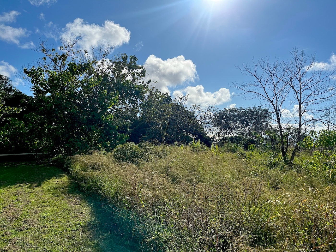 Flat Ocean View Lot — photo 7 of 12