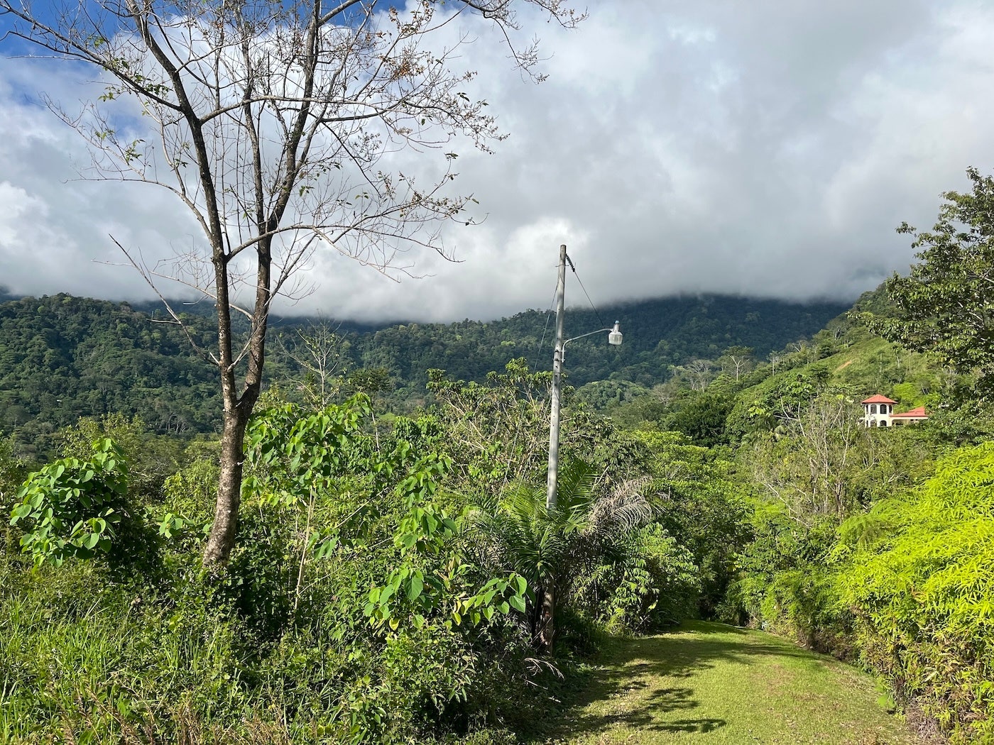 Flat Ocean View Lot — photo 9 of 12