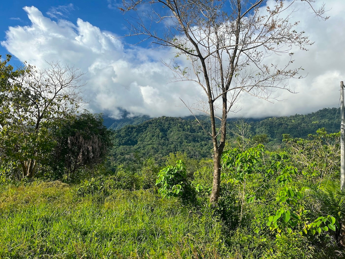 Flat Ocean View Lot — photo 11 of 12